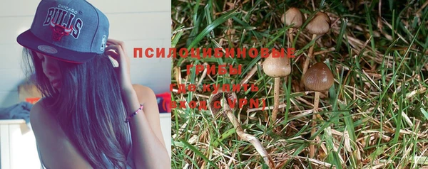 a pvp Нягань
